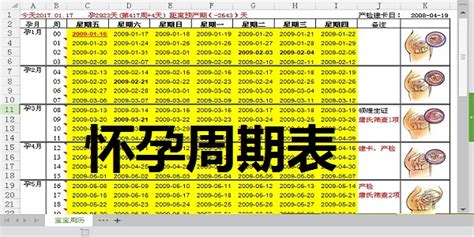 怀孕软件下载(怀孕软件下载什么好)缩略图