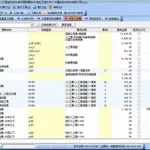 预算软件版是什么格式,预算软件版本是什么意思缩略图