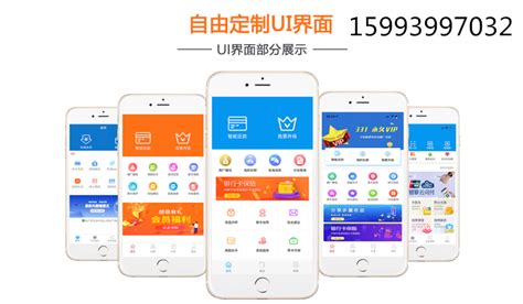 代还软件开发,代还软件开发公司缩略图