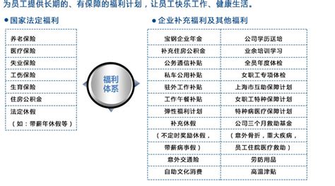 宝信软件招聘(宝信软件招聘流程)缩略图