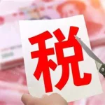 软件企业增值税优惠政策(软件企业增值税优惠政策2022)缩略图