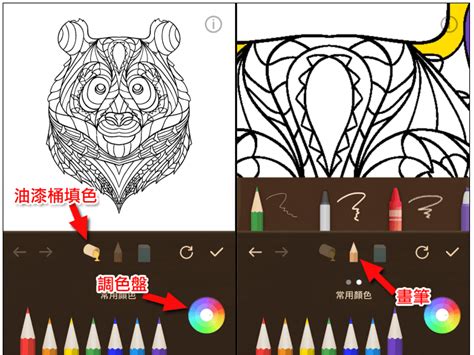 手机涂色软件(手机涂色软件推荐)缩略图