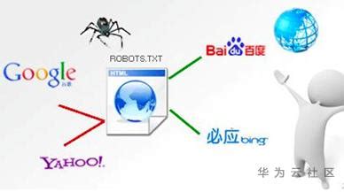 爬虫软件(爬虫软件是什么意思)缩略图