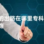 软件技术专科生的出路,软件技术专科生的出路在哪缩略图