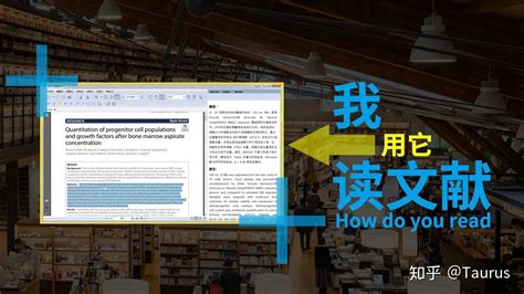 免费的中文翻译英文软件,免费的中文翻译英文软件有哪些缩略图