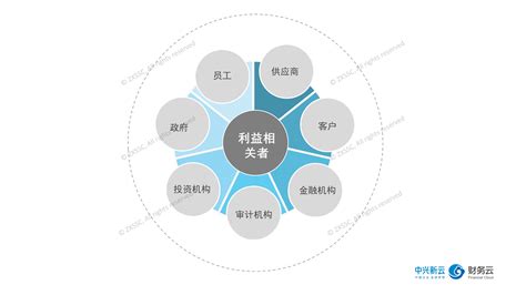 财会软件公司财会顾问(财会软件公司)缩略图