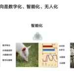 养猪软件套路(养猪软件套路有哪些)缩略图