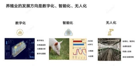 养猪软件套路(养猪软件套路有哪些)缩略图