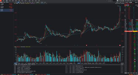 炒股软件开户(炒股软件开户教程)缩略图