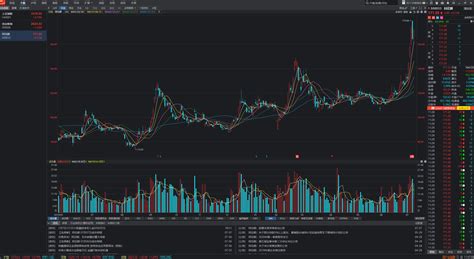 美股软件哪个比较好(中国正规股票app)缩略图