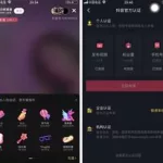 抖音做数据软件(抖音做数据软件有哪些)缩略图