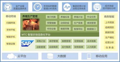 养猪软件哪个赚钱多又安全(养猪软件哪个赚钱)缩略图