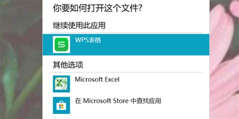 双开软件默认打开一个应用,双开软件默认打开一个应用怎么设置缩略图