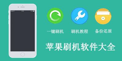 刷机软件手机版app,刷机软件手机版app苹果缩略图