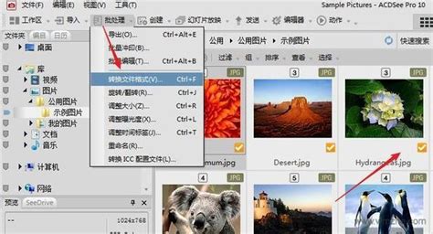 看图软件acdsee免费版,ced高清看图软件缩略图