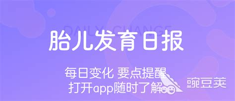 孕期软件排行榜前十名(孕期软件app哪个好用)缩略图