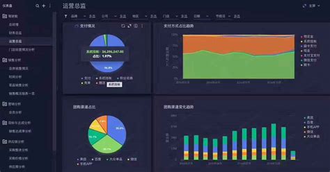 分析软件编程(分析软件编程语言)缩略图