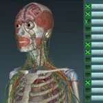 解剖软件破解版,解剖软件免费版缩略图