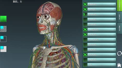 解剖软件免费版(3d body 解剖软件免费版)缩略图