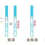 备孕软件测的排卵期准吗,备孕用什么软件测排卵期最准确缩略图