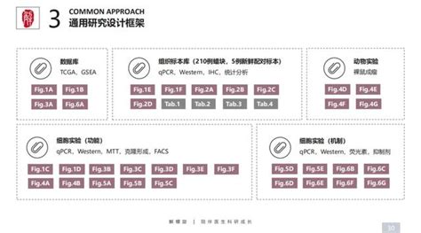 套路软件教学,套路软件教学视频缩略图