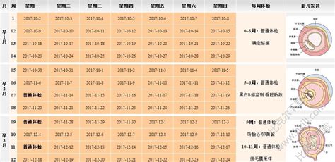 怀孕软件查预产期(怀孕软件查预产期准吗)缩略图