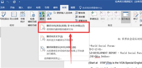 国外软件怎么翻译成中文(国外软件怎么翻译成中文手机)缩略图