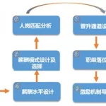 软件公司薪酬体系设计,软件公司绩效薪酬方案缩略图