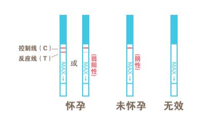 备孕软件上的排卵期精准吗,备孕中哪一款软件上的排卵期准确缩略图