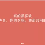 表白软件在线制作(表白软件在线制作免费版)缩略图