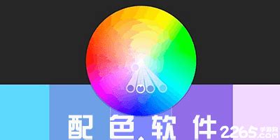 调色软件app(调色软件app下载)缩略图