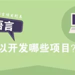 单机软件用什么语言开发(单机软件用什么语言开发的)缩略图