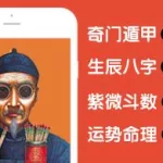 算命软件的资料调取,算命用的app缩略图