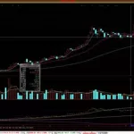 中国软件股票最新分析,中国软件股票最新分析报告缩略图