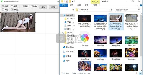 打印软件下载(打印软件下载安装)缩略图