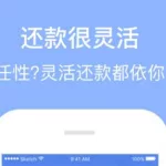 网络贷款软件(网络贷款软件 利息太高 可以报警吗)缩略图