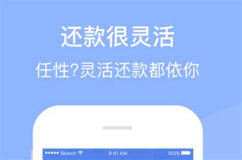 网络贷款软件(网络贷款软件 利息太高 可以报警吗)缩略图