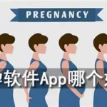 怀孕软件app评分最高(怀孕软件排名)缩略图