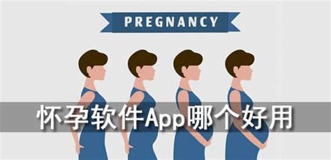 怀孕软件app评分最高(怀孕软件排名)缩略图