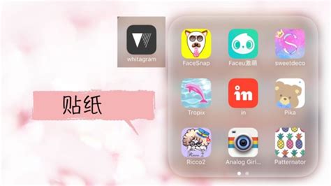 贴纸软件app,贴纸软件app推荐缩略图