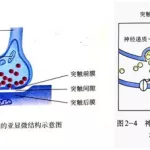 头条软件突突突的声音(打开头条会自动播放声音)缩略图