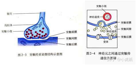 头条软件突突突的声音(打开头条会自动播放声音)缩略图