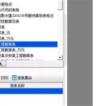 软件名称格式(软件名称格式怎么设置)缩略图