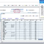 财务报税软件,财务报税软件有哪些缩略图