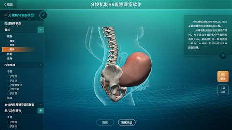 3d软件下载手机版(3d建模软件)缩略图