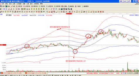 行情软件比较(行情软件哪个最好)缩略图