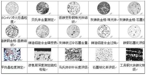 金相分析软件尺寸测量不准,金相分析软件尺寸测量不准怎么办缩略图