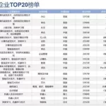 中国软件公司排名,中国软件公司排名100强缩略图