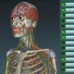 3d医学动画解剖软件(医学解剖3d软件推荐)缩略图