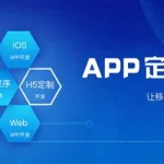 定制软件开发app小程序(软件开发定制app小程序要怎么制作)缩略图